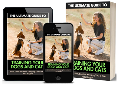 Training Dogs and Cats