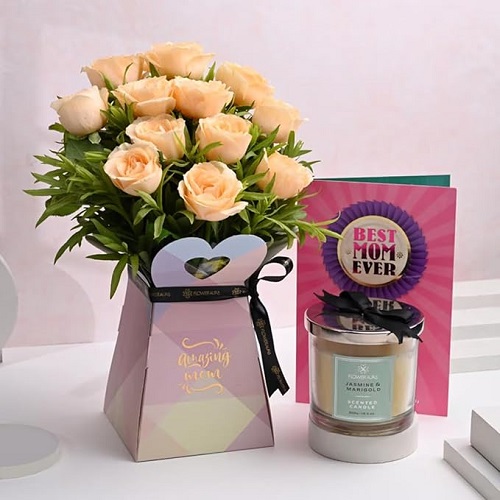 FlowerAura Fresh Live 12 Peach Roses
